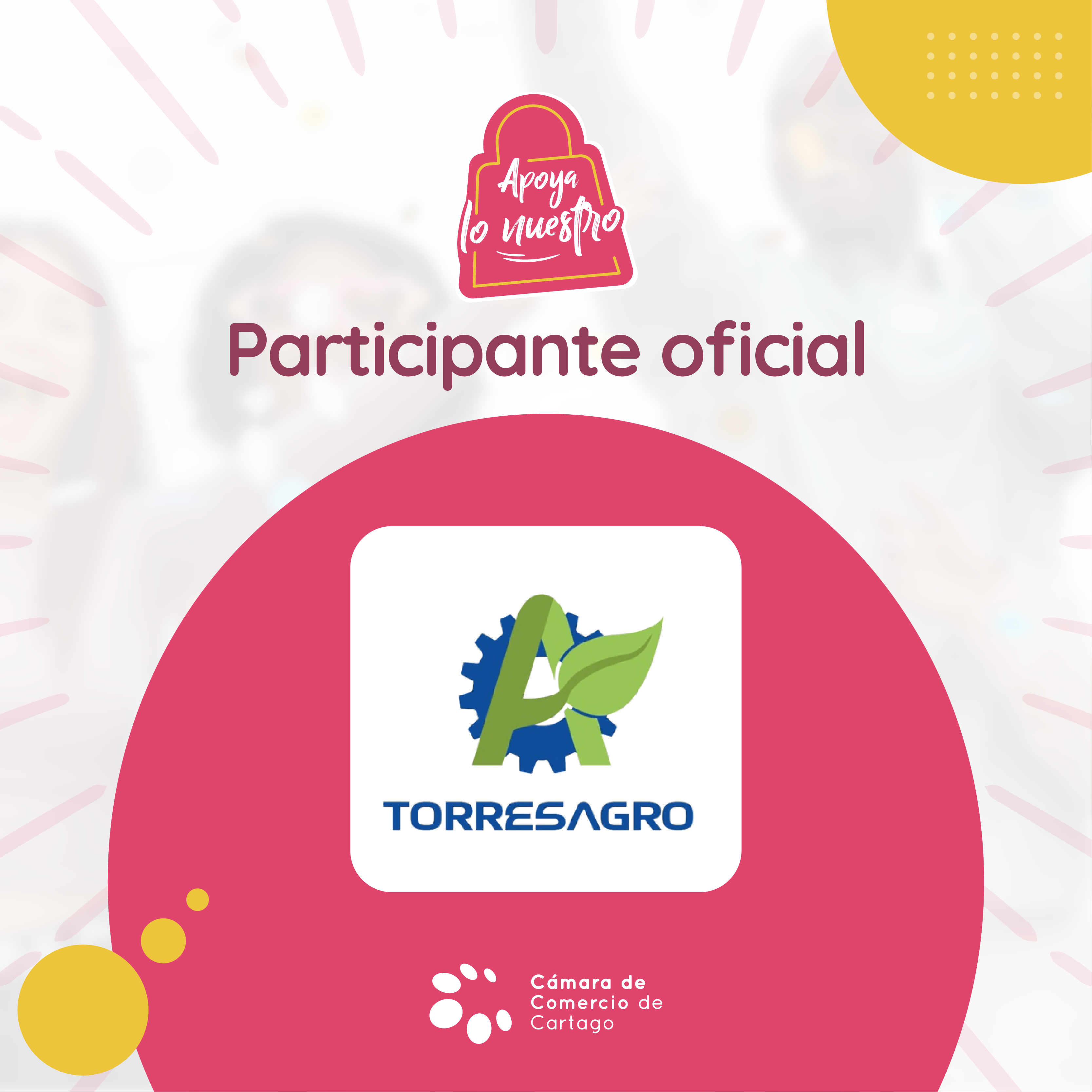 LOGO_ULTIMO_TORRESAGRO_-removebg-preview