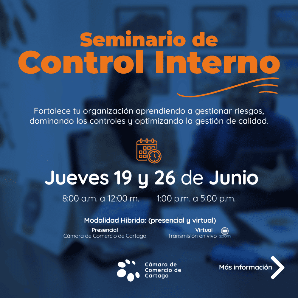 Portada-Control-Interno_Mesa-de-trabajo-1-1