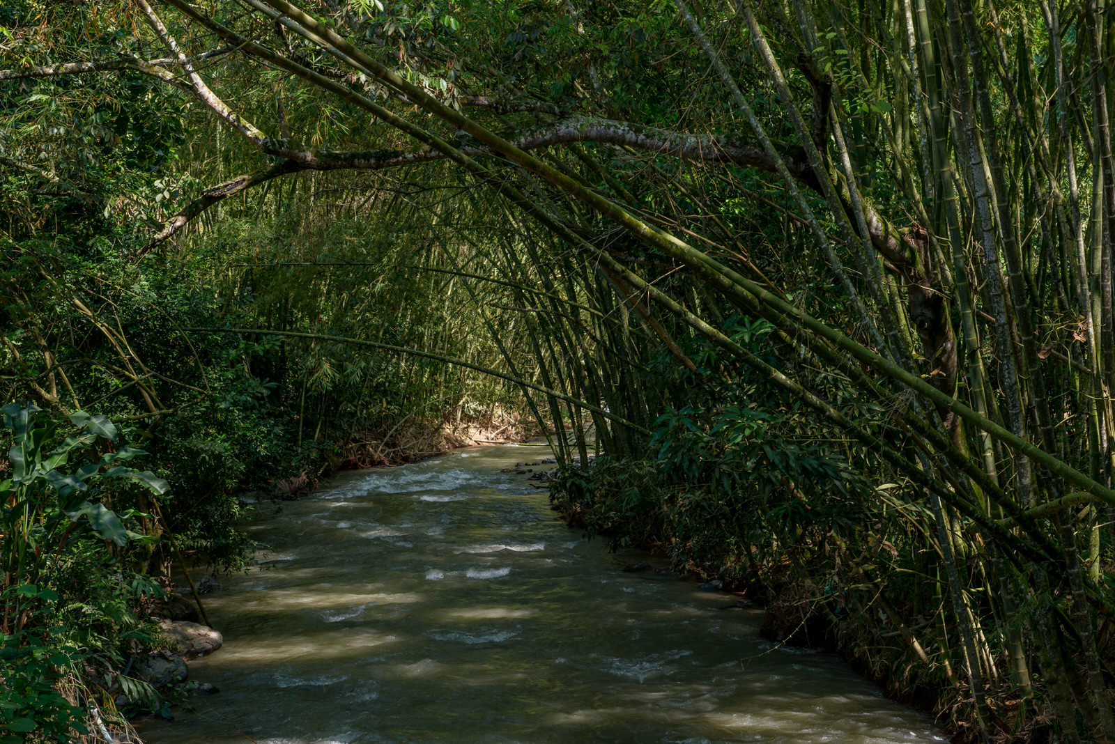 Río Cañaveral Guaduales El Águila