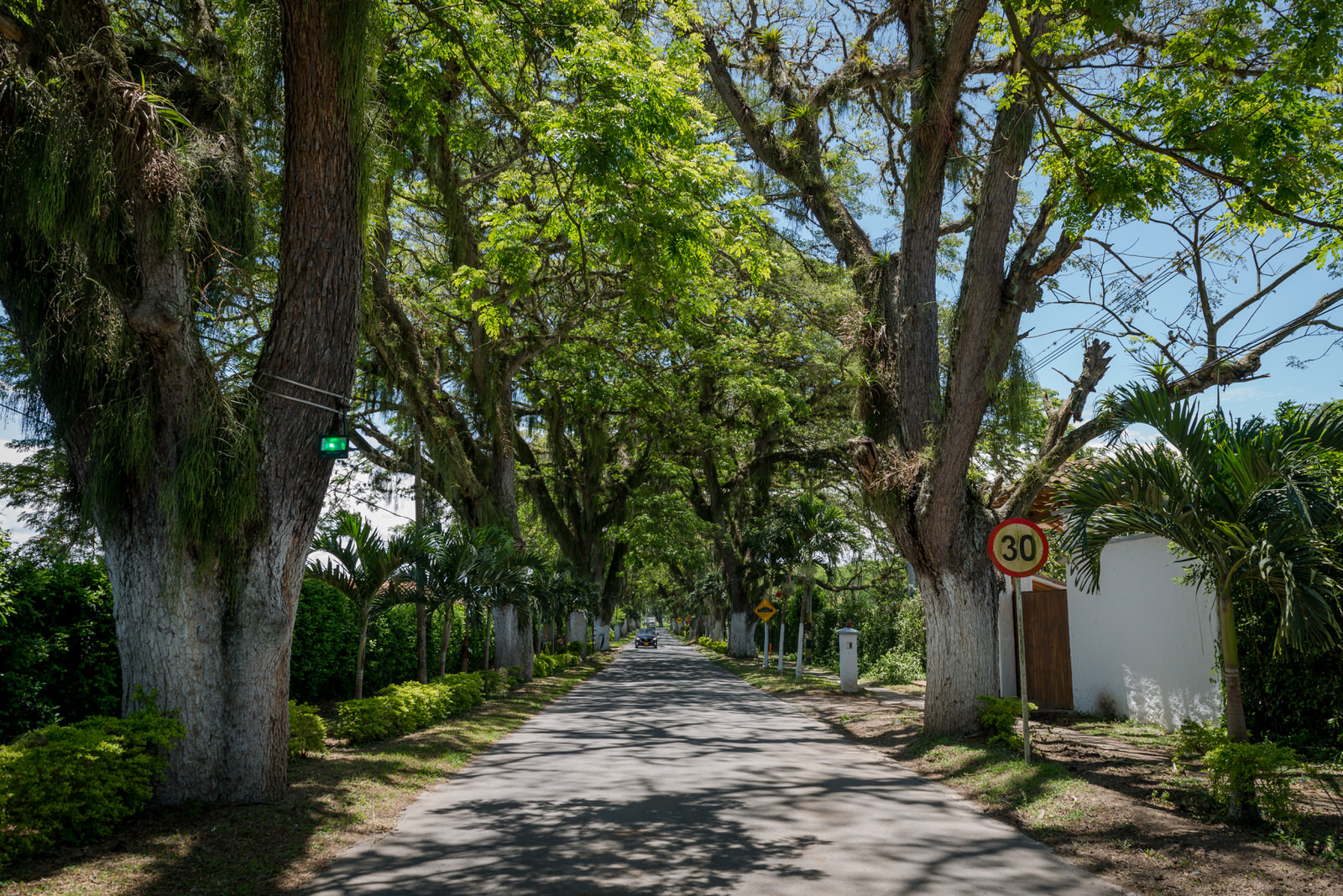 Entrada Alameda Toro