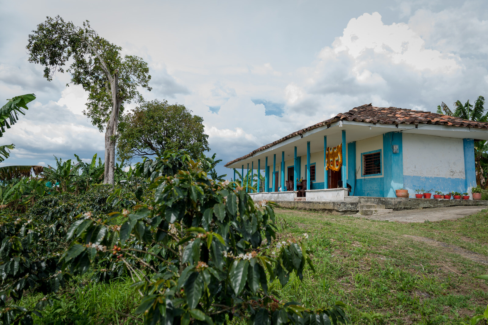 Finca Cafetera Paisaje Cultural Cafetero PCC Ulloa