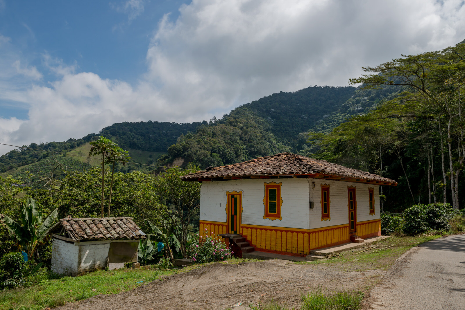 Paisaje Cultural Cafetero PCC Argelia